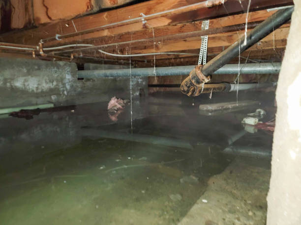 Best Commercial water damage restoration  in Piedmont, SD