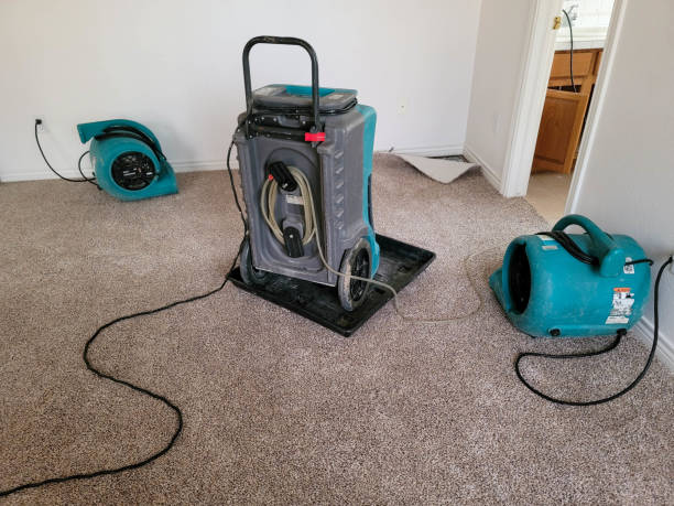 Best Flooded house restoration  in Piedmont, SD