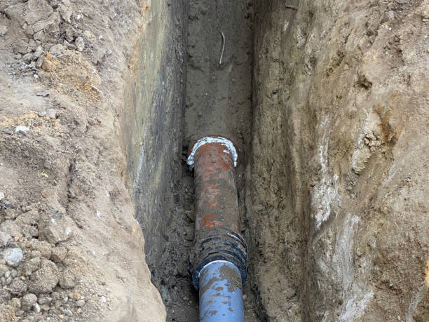 Best Basement water damage restoration  in Piedmont, SD