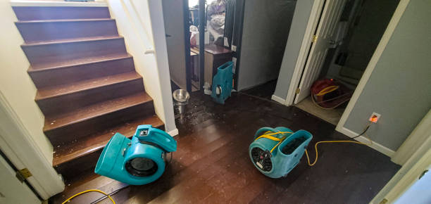 Best Water damage contractors near me  in Piedmont, SD