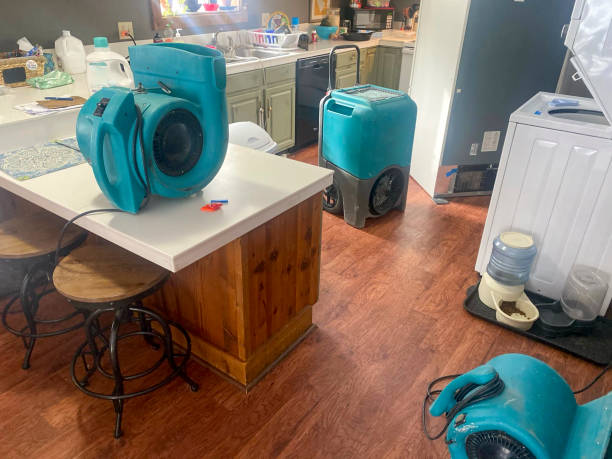 Best Ceiling water damage repair  in Piedmont, SD