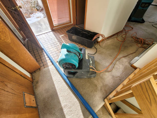 Best 24/7 water damage repair  in Piedmont, SD