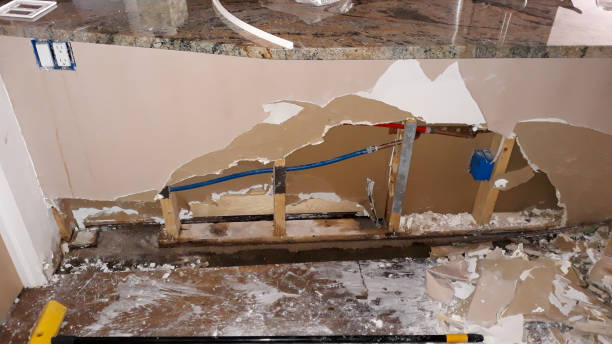 Best Fire Damage Restoration  in Piedmont, SD