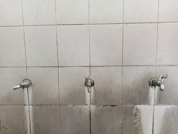 Best Water damage restoration near me  in Piedmont, SD