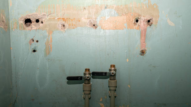 Best Commercial water damage restoration  in Piedmont, SD