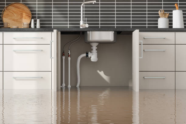 Best Flood restoration services  in Piedmont, SD
